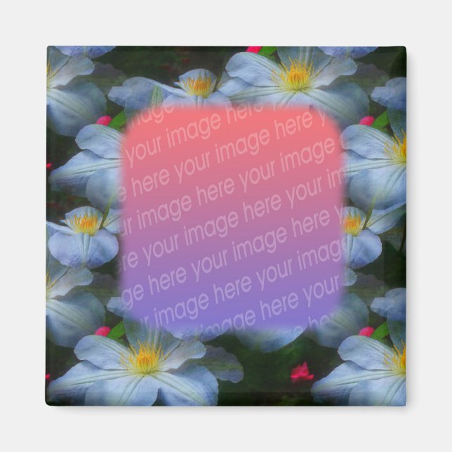 Imã White Clematis Flor Sua Foto (Frente)