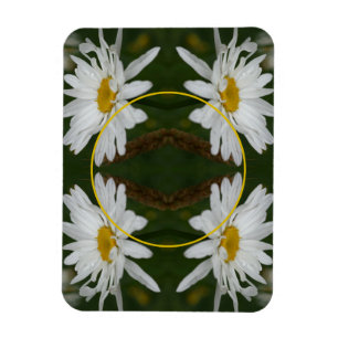 Ímã White Daisy Flower Frame Adicionar Sua Própria Fot