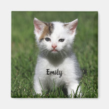 White Kitten Personalizado