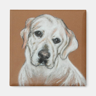 Imã White Labrador Magnet