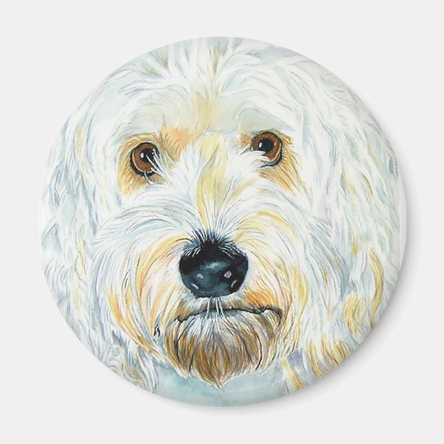 Imã White Labrdoodle Maggie Magnet (Frente)