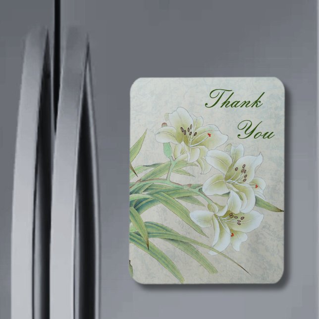 Ímã White Lily (Criador carregado)