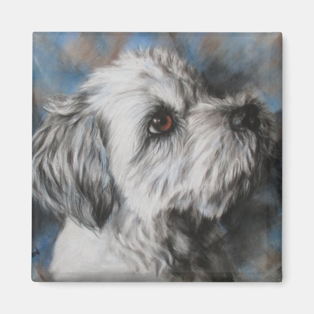 Imã White Maltese/Shih Tzu fluffy dog (Frente)