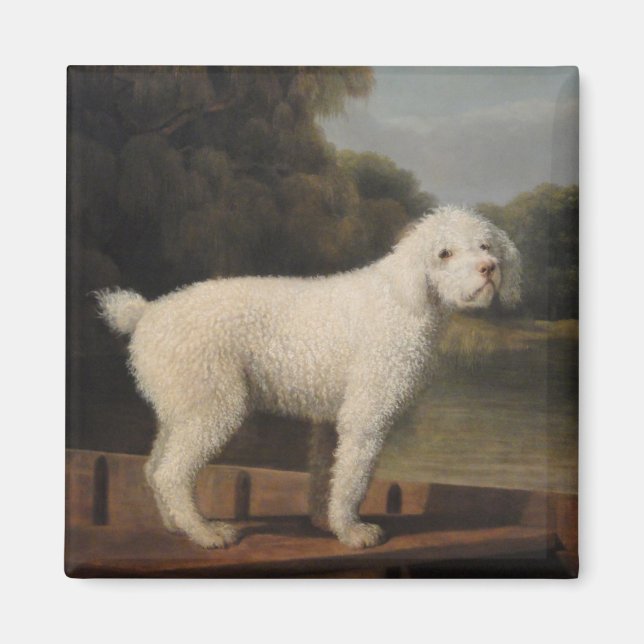 Imã White Poodle in a Punt (por George Stubbs) (Frente)