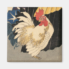 Imã White Rooster Fine Art