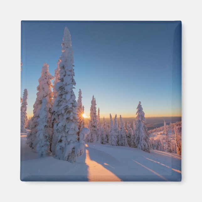 Imã Whitefish, Montana (Frente)