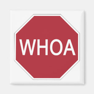Imã Whoa