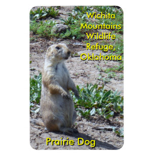 Ímã Wichita Mountains Wildlife Refuge Prairie Dog