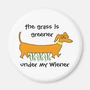Imã Wiener do Dachshund