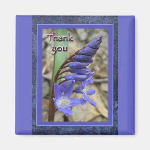 Imã Wild Blue Hyacinth Obrigado