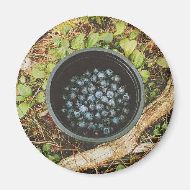 Imã Wild Blueberry Picking (Frente)