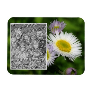 Ímã Wild Fleabane Daisy Flower Frame Adicionar Sua Fot