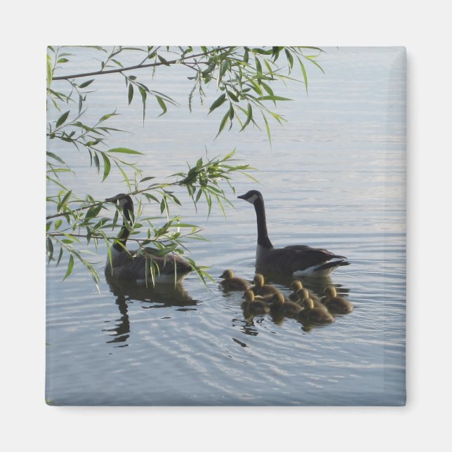 Imã Wild Geese Magnet (Frente)