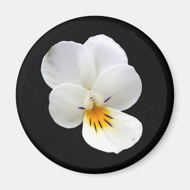 Imã Wild Pansy Magnet (Frente)