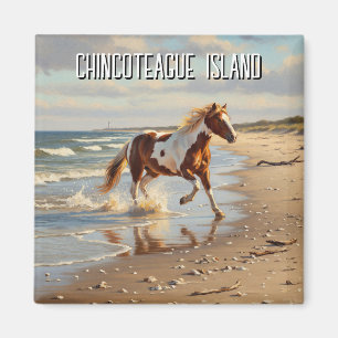 Imã Wild Pony em Chincoteague Island Virginia Viagem