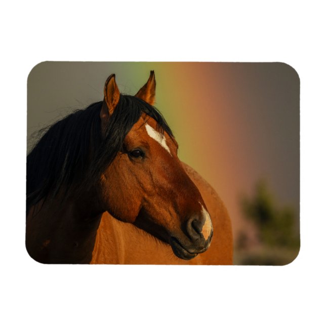 Ímã Wild Stallion, Golden Light and Rainbow (Horizontal)