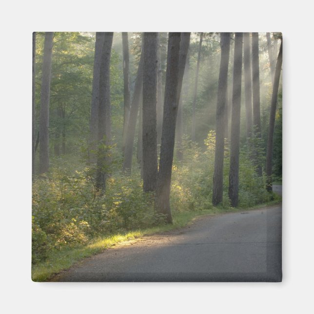 Imã Wilderness Drive, Parque Estadual de Itasca, (Frente)