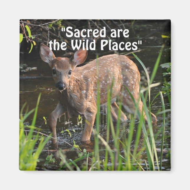 Imã Wilderness Fawn Wilderness Magnets (Frente)