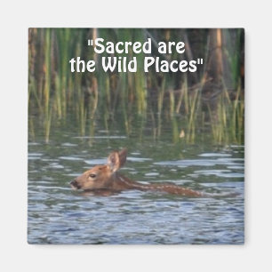 Imã Wilderness Fawn Wilderness Magnets