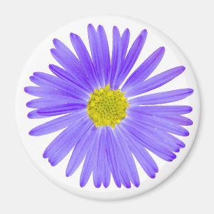 Imã Wildflower roxo