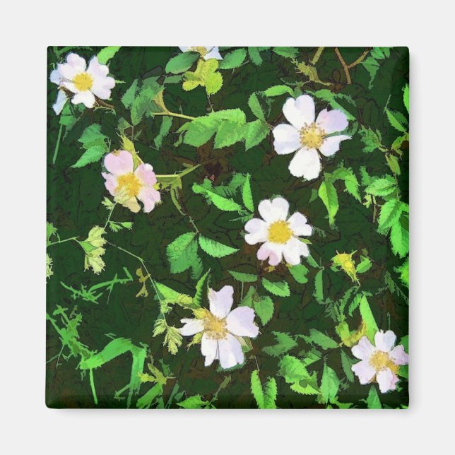 IMÃ WILDFLOWERS (Frente)