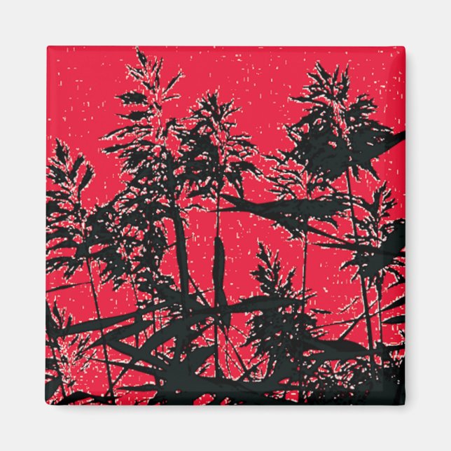 IMÃ WILDFLOWERS (Frente)