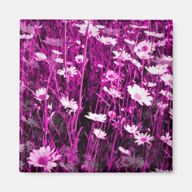 IMÃ WILDFLOWERS (Frente)