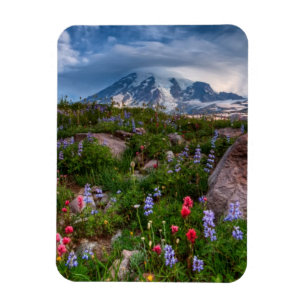 Ímã Wildflowers