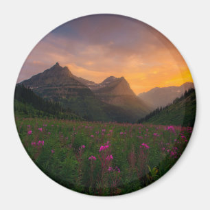 Imã Wildflowers da geleira