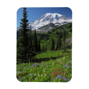 Ímã Wildflowers no Monte Rainier