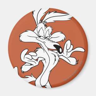 Imã Wile E. Coyote Parece Agradável