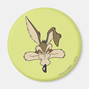 Imã Wile E. Coyote Tiro na Cabeça Satisfeito
