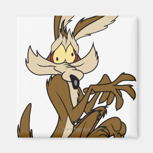 Imã Wile E. Derp Coyote