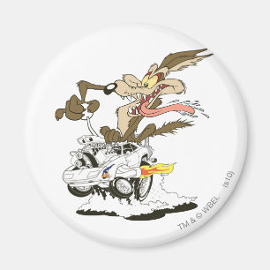 Imã Wile E. Visão Louca do Coyote