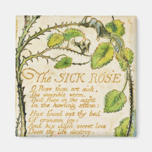Imã William Blake o rosa doente, das canções de