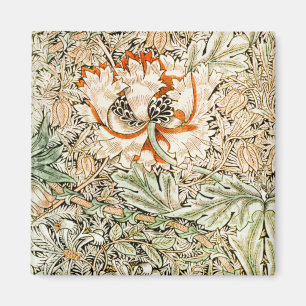 Imã William Morris