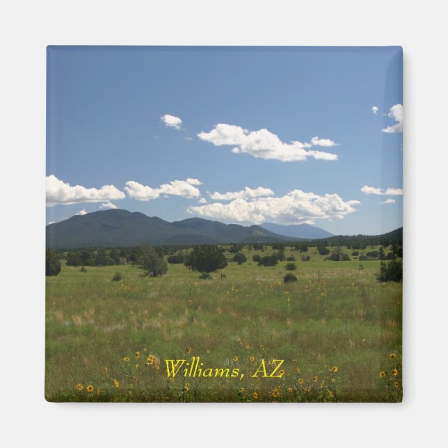 Imã Williams AZ (Frente)