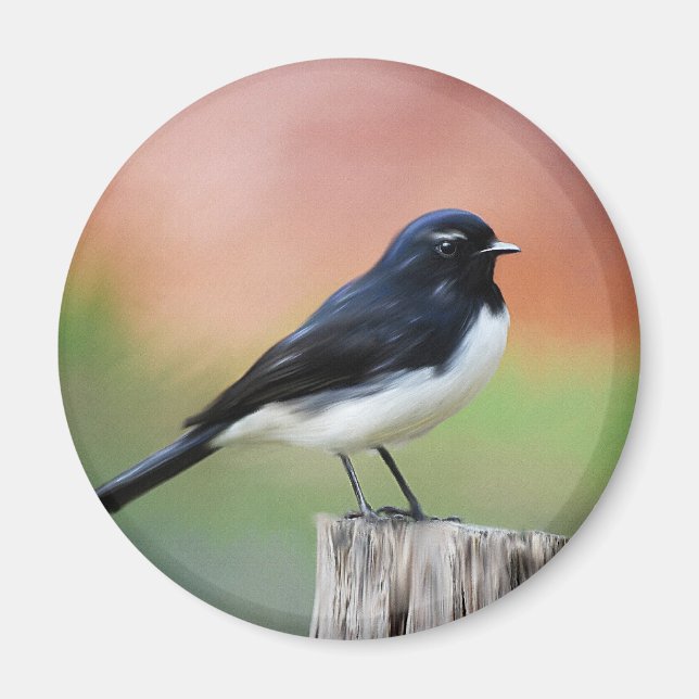 Imã Willy Wagtail - Arte sobre aves australianas (Frente)