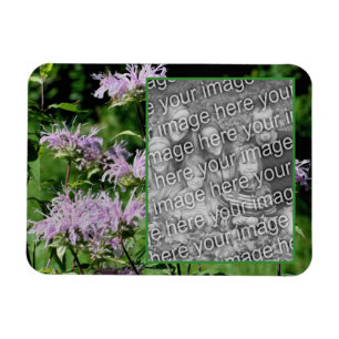 Ímã Wilple Purple Bee Balm Frame Adicionar Sua Foto