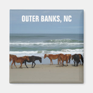 Imã Wils Horses Outer Banks OBX Carolina do Norte