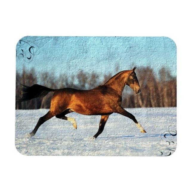 Ímã Winter Akhal-teke (Horizontal)