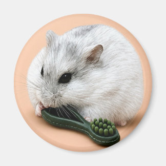 Imã Winterberry o hamster mascando um brinquedo de mas