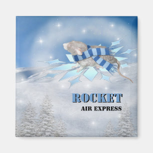 Imã Winterland Journey