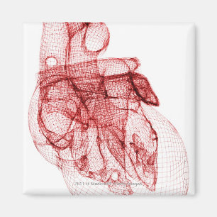 Imã Wireframe de Digitas do coração humano