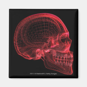 Imã Wireframe vermelho de um crânio