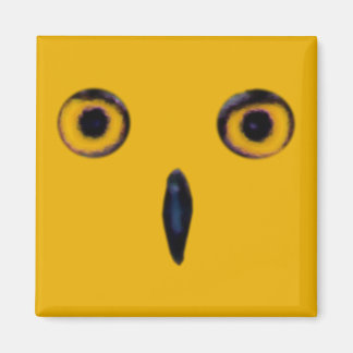 Imã Wise Old Owl Eyes