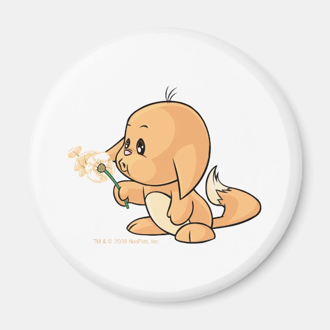 Imã Wishing orange Kacheek (Frente)