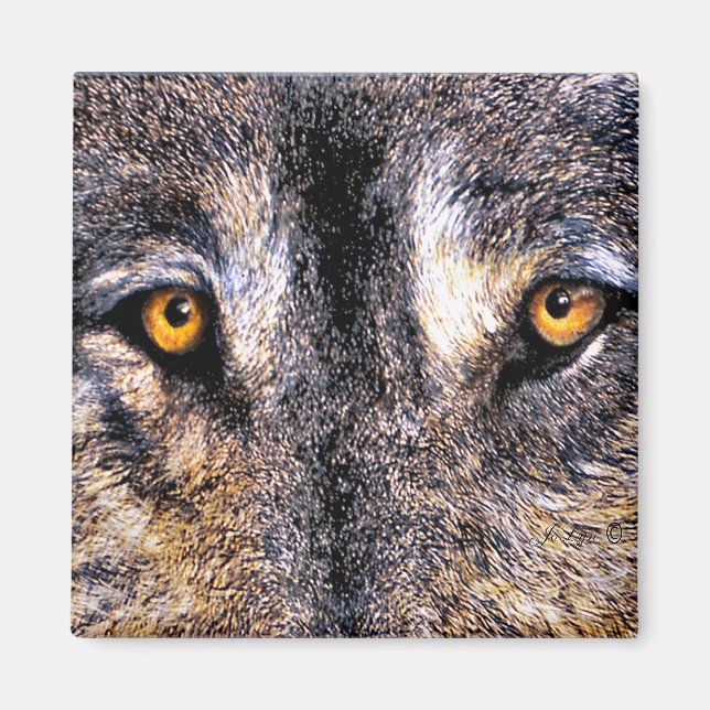 Imã Wolf Eyes Magnet (Frente)