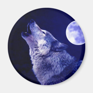 Imã Wolf Howling na Lua