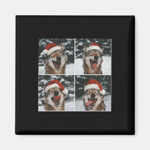Imã Wolf Winter Fotografia Wolf Conservation Christma